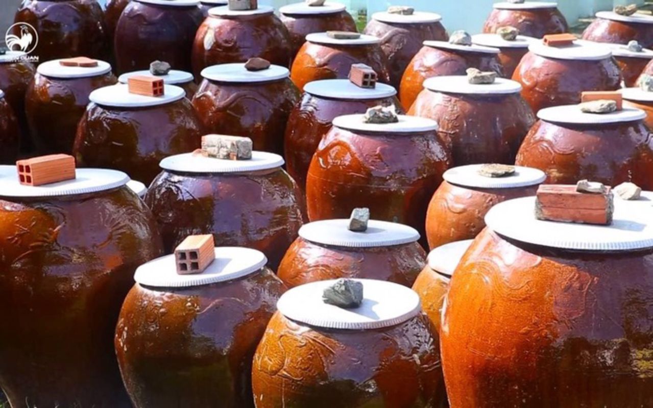 Seize the vibrant spirit of Tra Vinh Travel