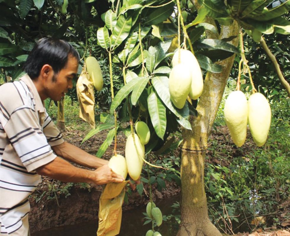 Seize the flavorful spirit of An Giang Travel
