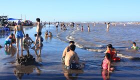 Dive into the natural charm of Thai Binh Travel