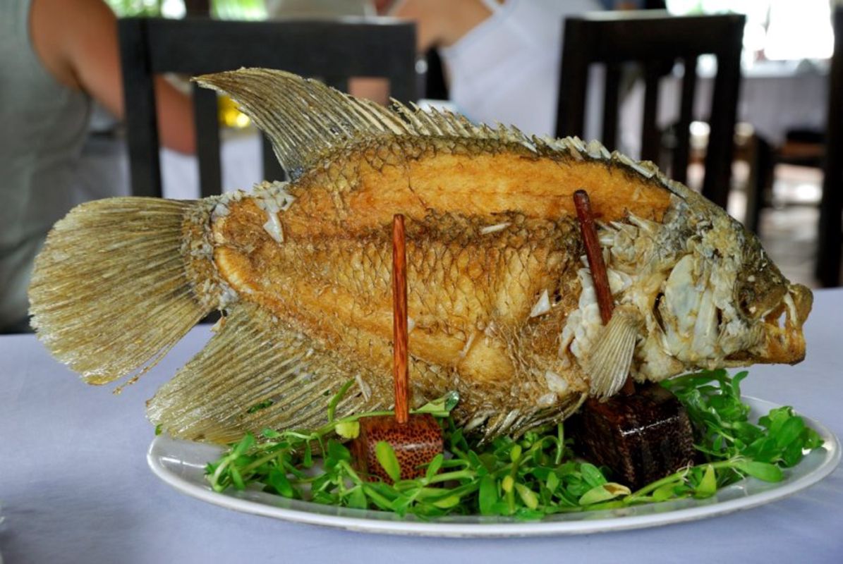 Fried Osphronrmus goramy Fish - "Cá Tai Tượng chiên xù" - Capture the savory essence of Vinh Long’s culinary gem