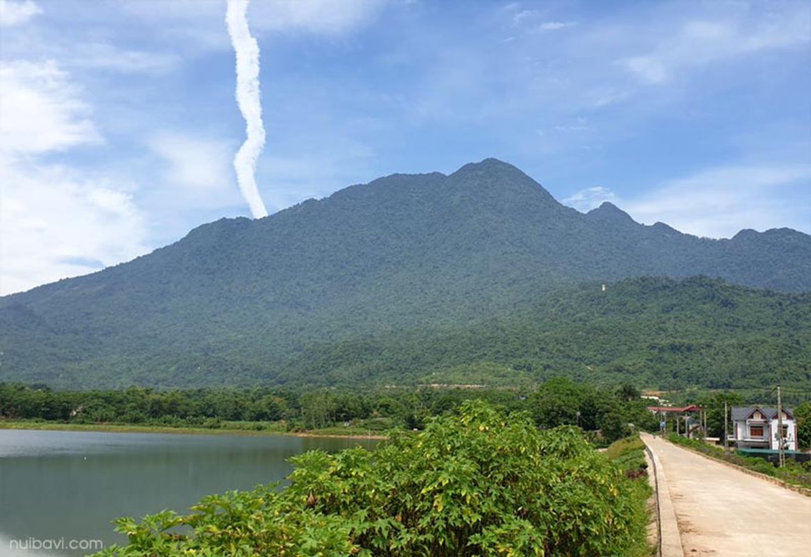 Trekking path through Bach Xanh trees in Ba Vi National Park