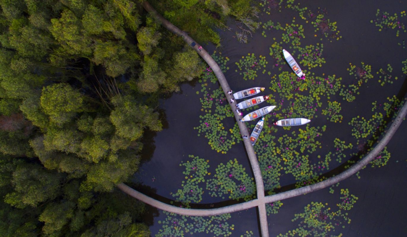 Capture the serene beauty of Long An’s eco-tourism gem