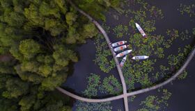 Capture the serene beauty of Long An’s eco-tourism gem