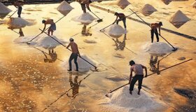 Dive into the cultural charm of Ca Mau Travel