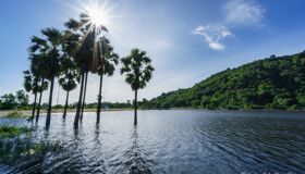 Start your An Giang Travel with vibrant rural vibes