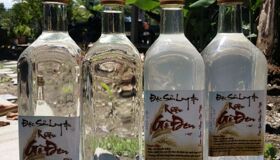 Dive into the rich flavors of Long An Travel