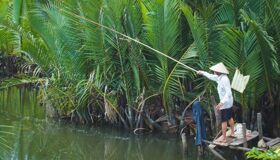 Dive into the serene charm of Ben Tre Travel
