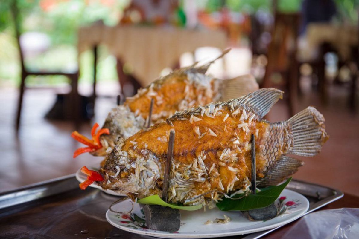 Embrace the vibrant spirit of Tien Giang Travel adventures