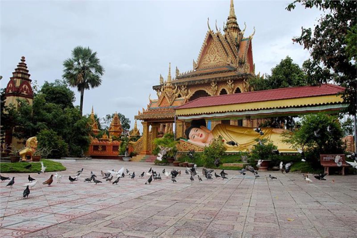 Photograph the intricate allure of Ca Mau’s heritage