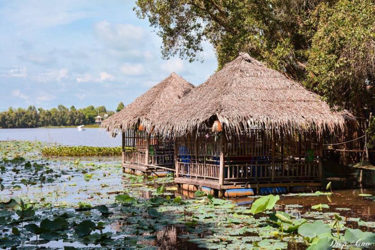 Start your Dong Thap Travel with tranquil vistas