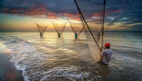 Photograph the verdant allure of Tra Vinh’s nature