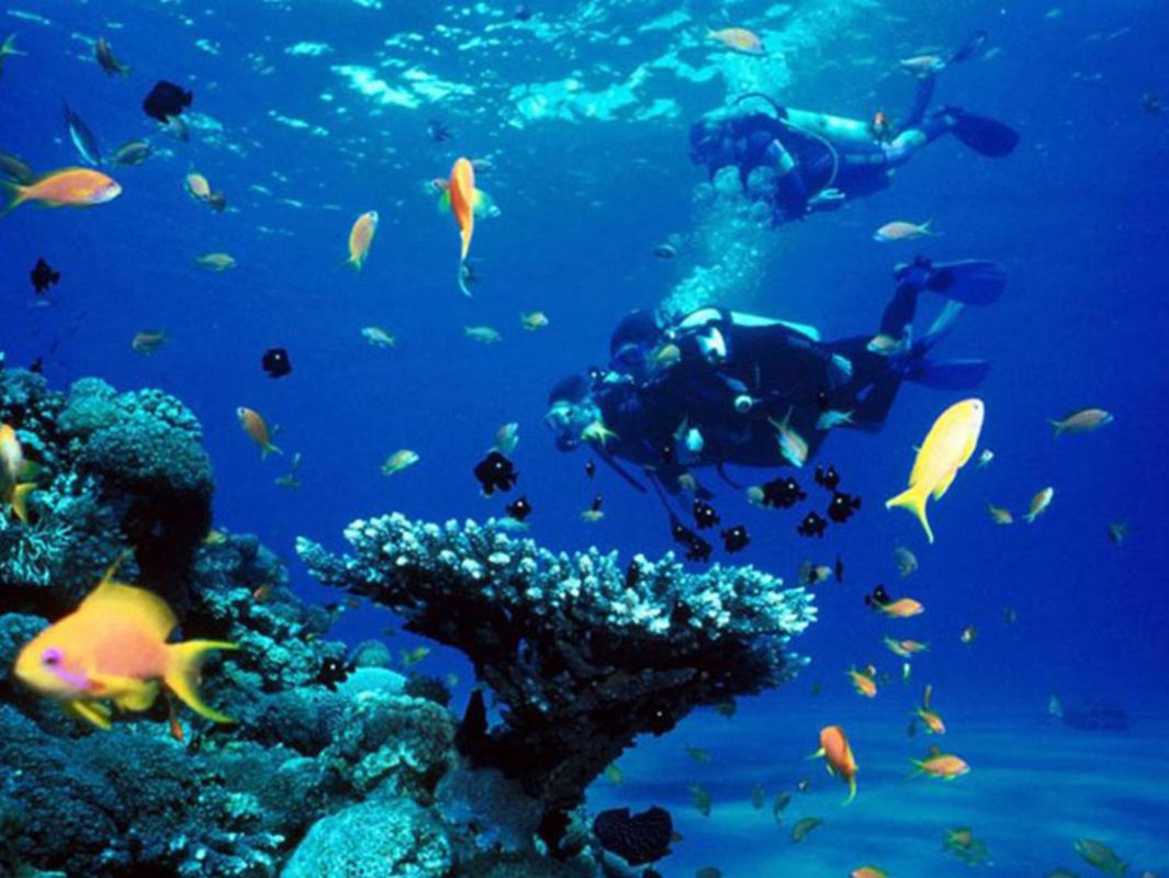 Dive into the thrilling charm of Khanh Hoa Travel