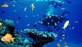 Dive into the thrilling charm of Khanh Hoa Travel