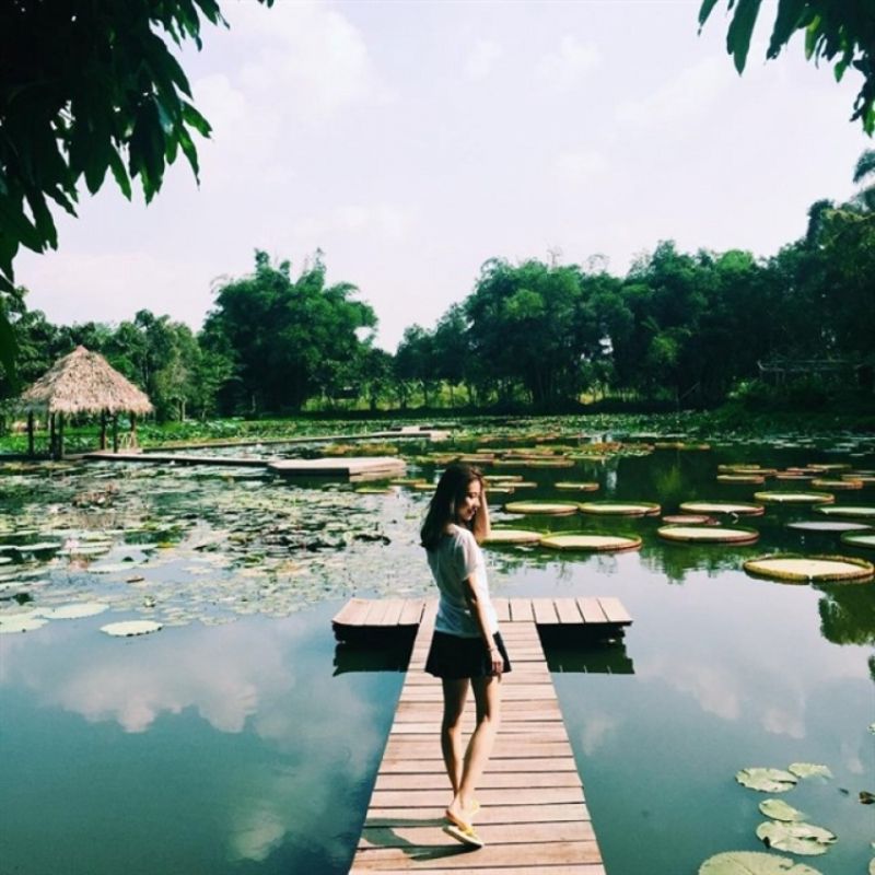 Photograph the biodiverse allure of Dong Thap’s nature