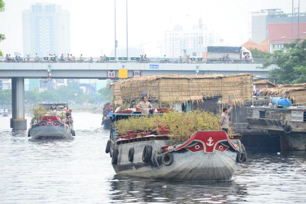 Dive into the sustainable charm of Dong Thap Travel