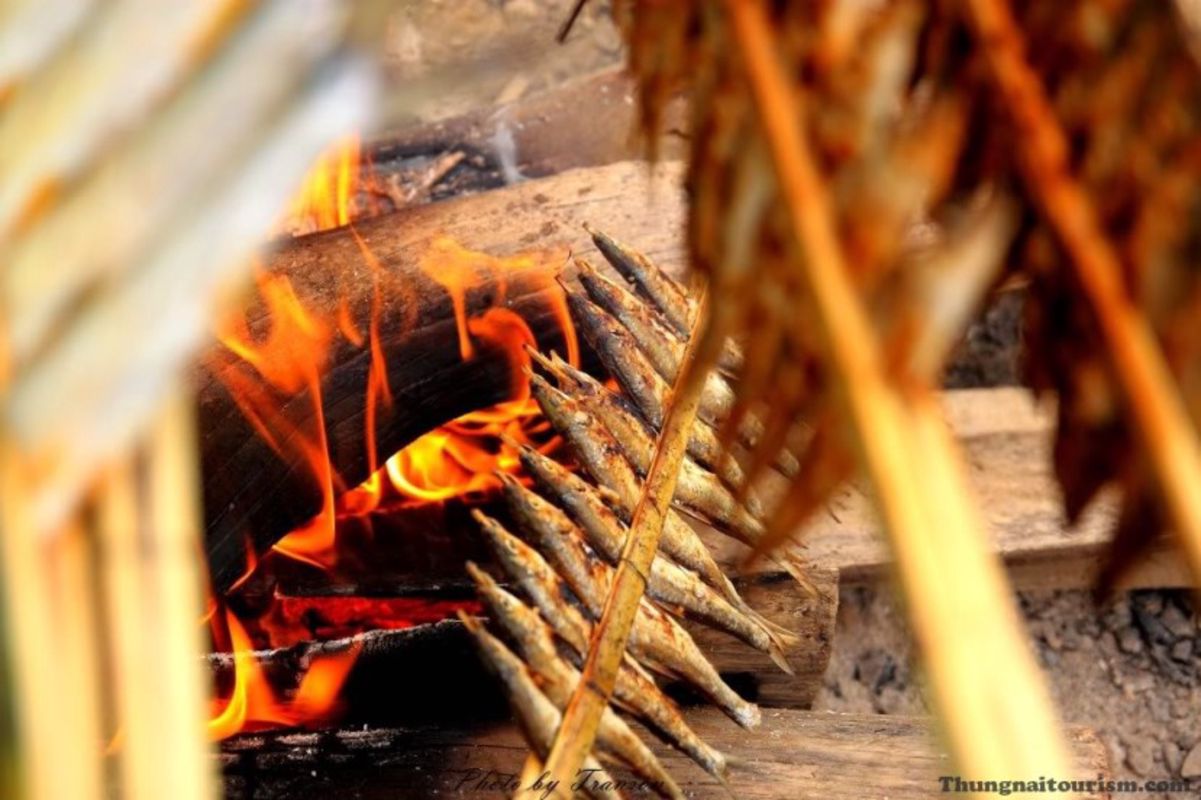 Seize the vibrant spirit of Phu Tho Travel