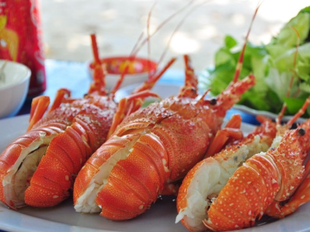 Seize the vibrant spirit of Khanh Hoa Travel