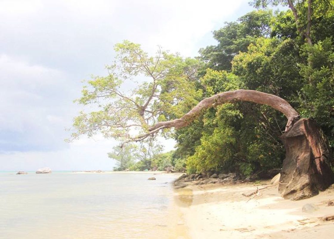 Photograph the lush allure of Phu Quoc’s biodiversity