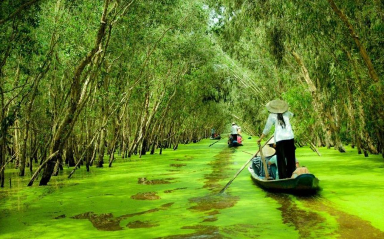 Capture the serene beauty of Hau Giang’s ecological gem