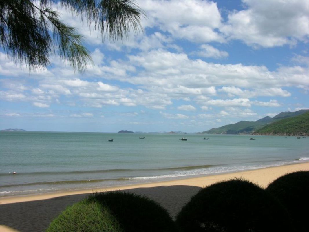 Embrace the vibrant spirit of Quy Nhon Travel adventures