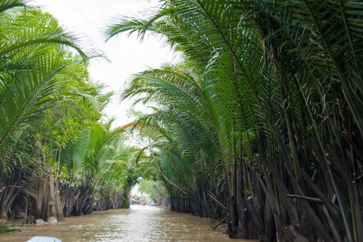 Capture the authentic charm of Tien Giang’s culture