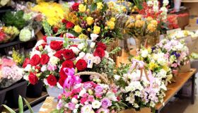 Capture the vibrant energy of Da Lat’s shopping gem