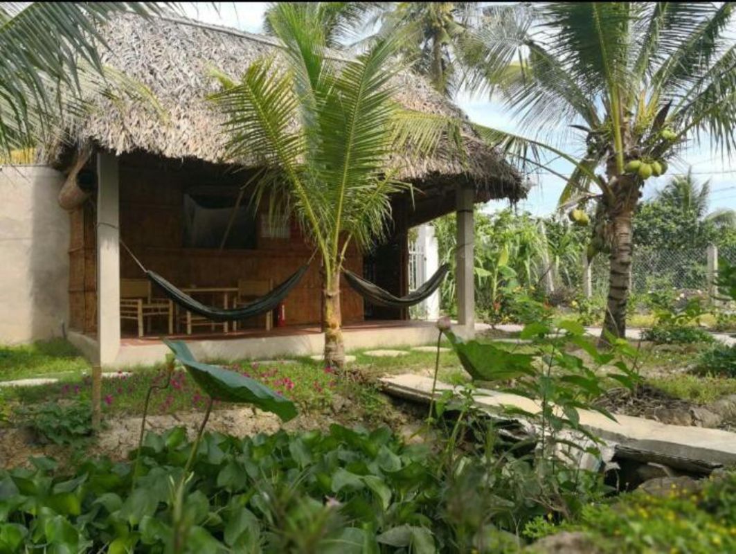 Capture the sustainable charm of Ben Tre’s ecotourism