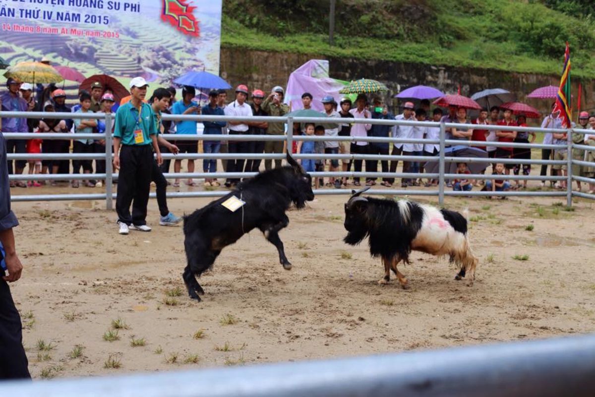 Start your Tuyen Quang Travel with serene vistas