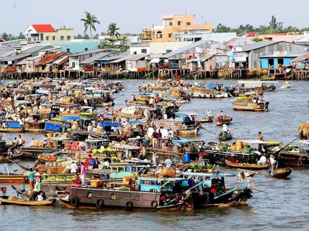 Dive into the lively charm of Can Tho Travel