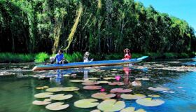 Experience Long An Tours with sustainable adventures