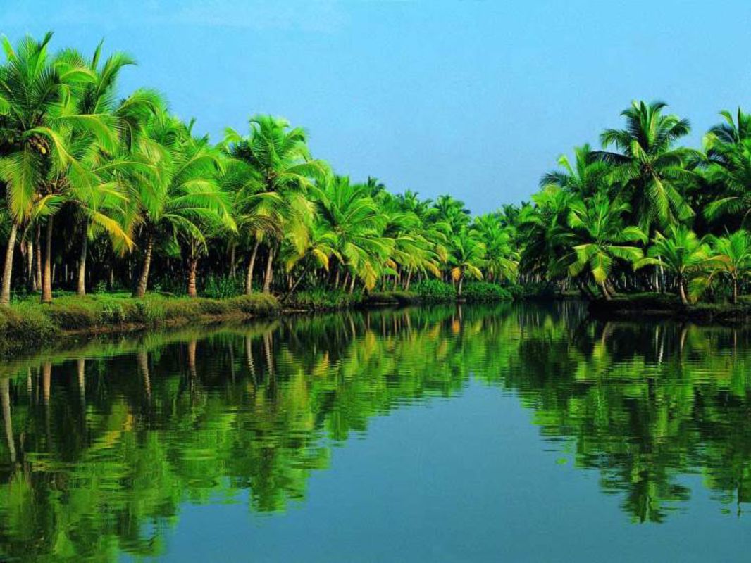 Start your Ben Tre Travel with tranquil vibes