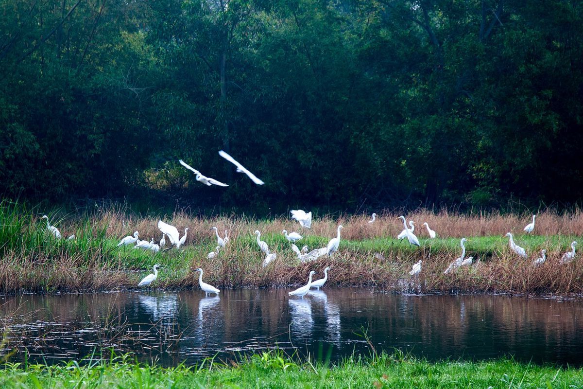 Capture the coastal beauty of Dak Lak’s eco-gem