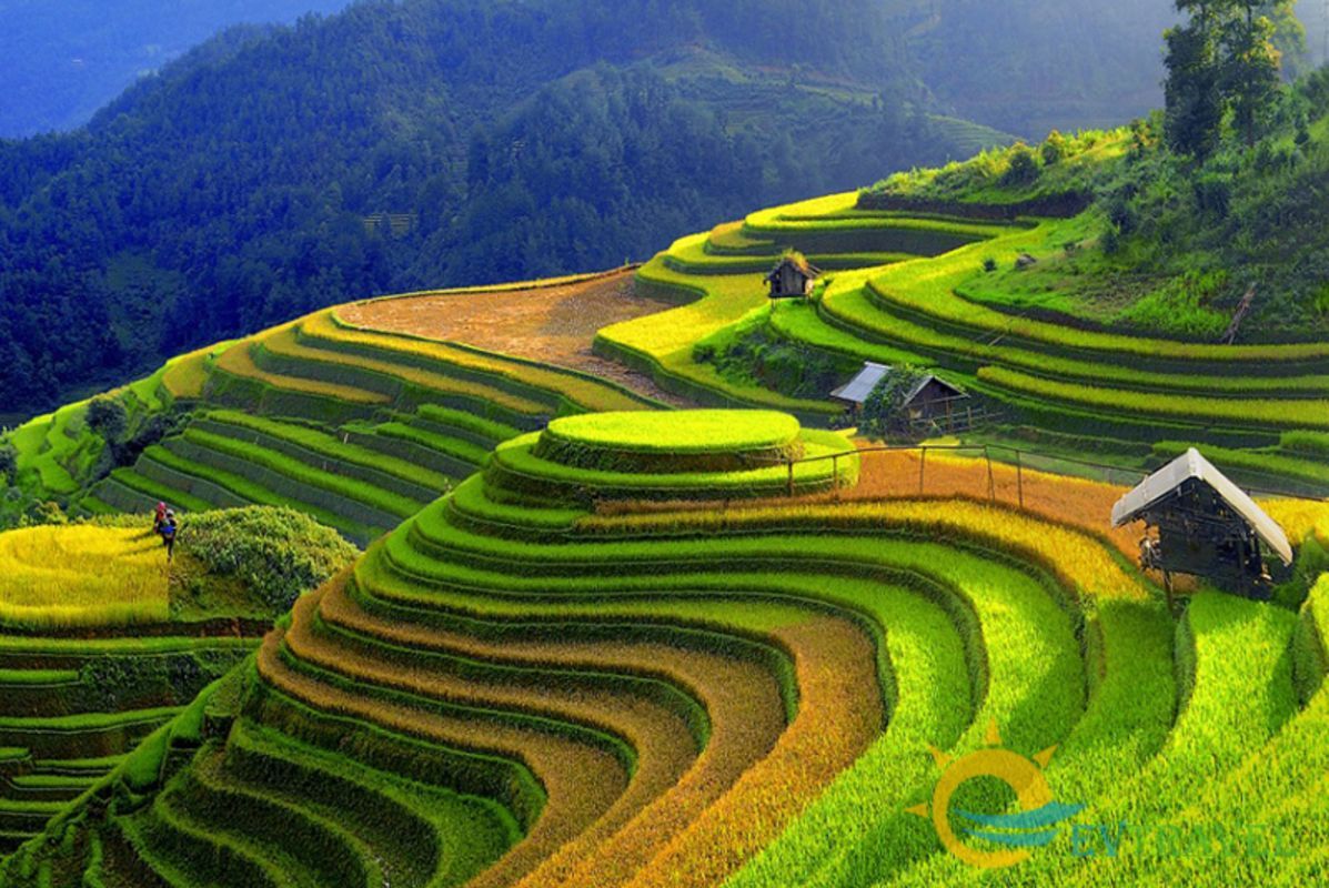 Dive into the cultural charm of Tuyen Quang Travel