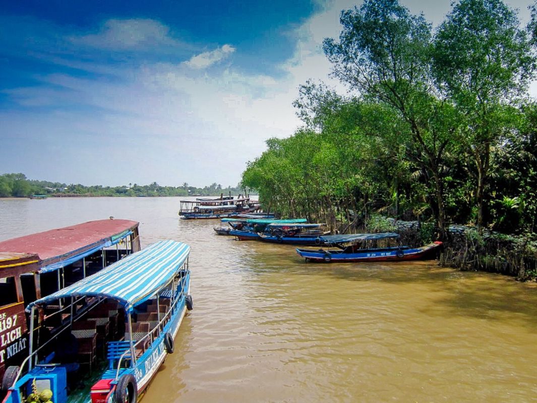 Capture the sustainable charm of Ben Tre’s ecotourism