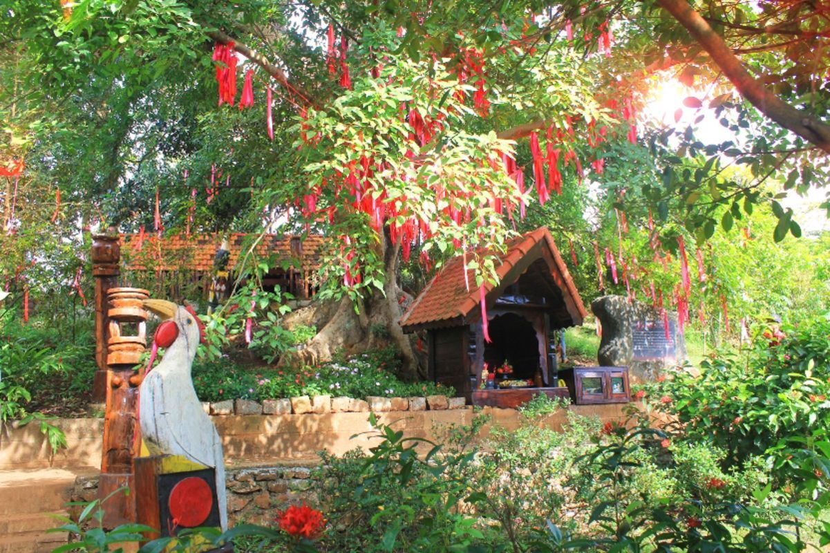 Seize the vibrant spirit of Dak Lak Travel
