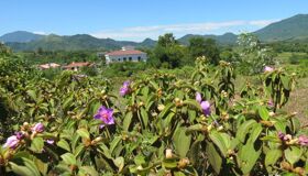 Start your Hanoi Travel with serene vistas