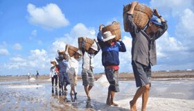 Dive into the festive charm of Ca Mau Travel