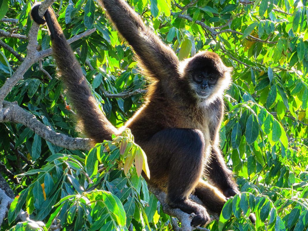 Learn Phu Quoc’s natural heritage with expert insights