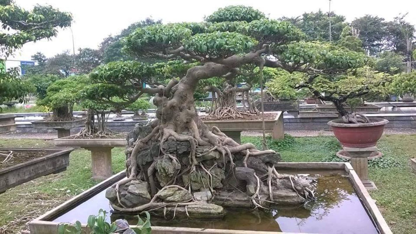 Start your Hung Yen Travel with tranquil vibes