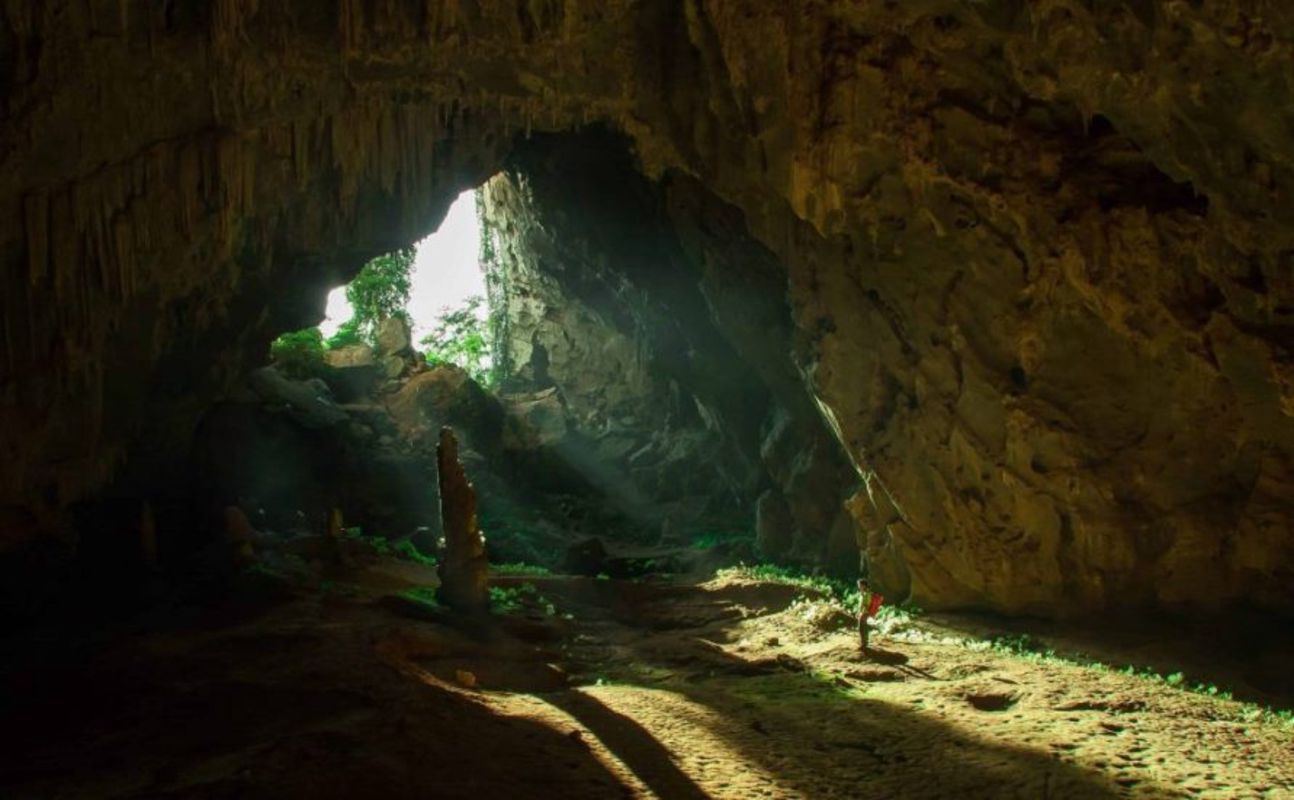 Photograph the lush allure of Phong Nha’s biodiversity