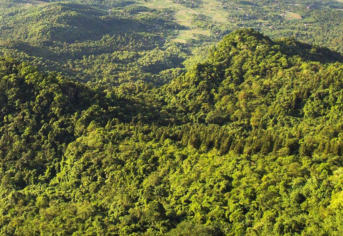 Scenic view of Ba Vi National Park with lush greenery and mountains