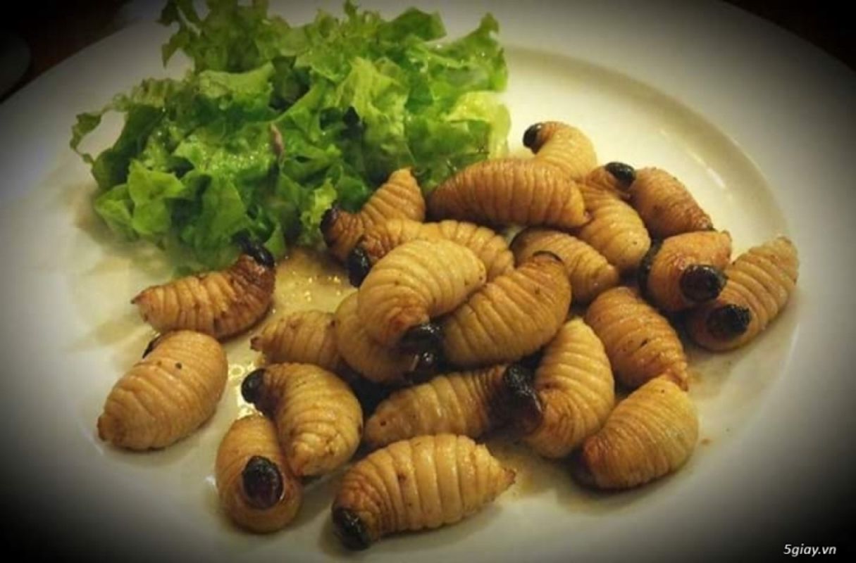 Đuông Dừa