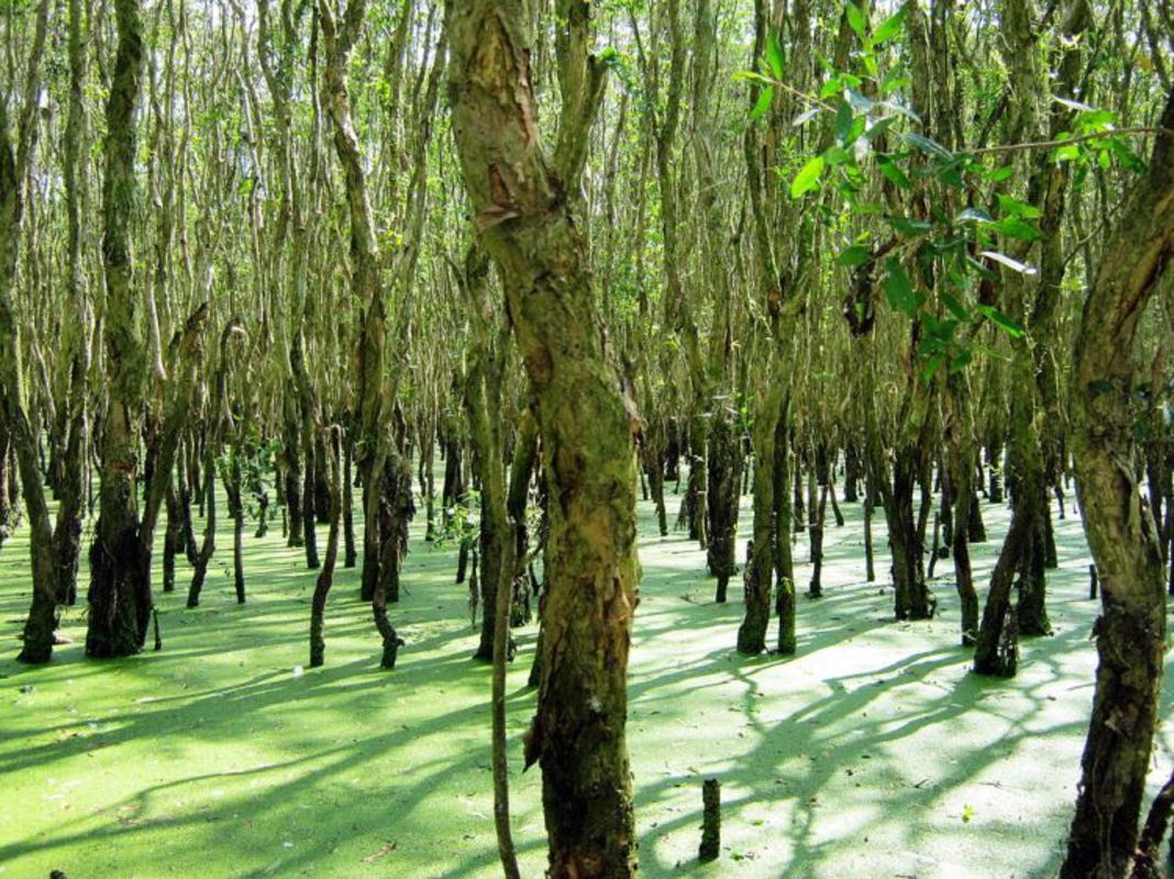 Start your An Giang Travel with tranquil vistas