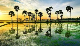 Dive into the lush charm of An Giang Travel