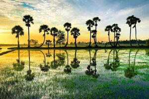 An Giang Travel Guide: Explore Chau Doc and Mekong Delta’s Vibrant Culture