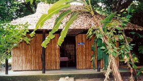 Learn Hau Giang’s cultural heritage with expert insights