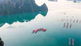 Photograph the diverse allure of Lan Ha Bay’s ecosystems