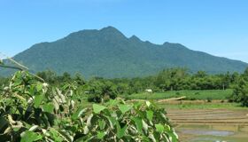 Dive into the biodiverse charm of Hanoi Travel