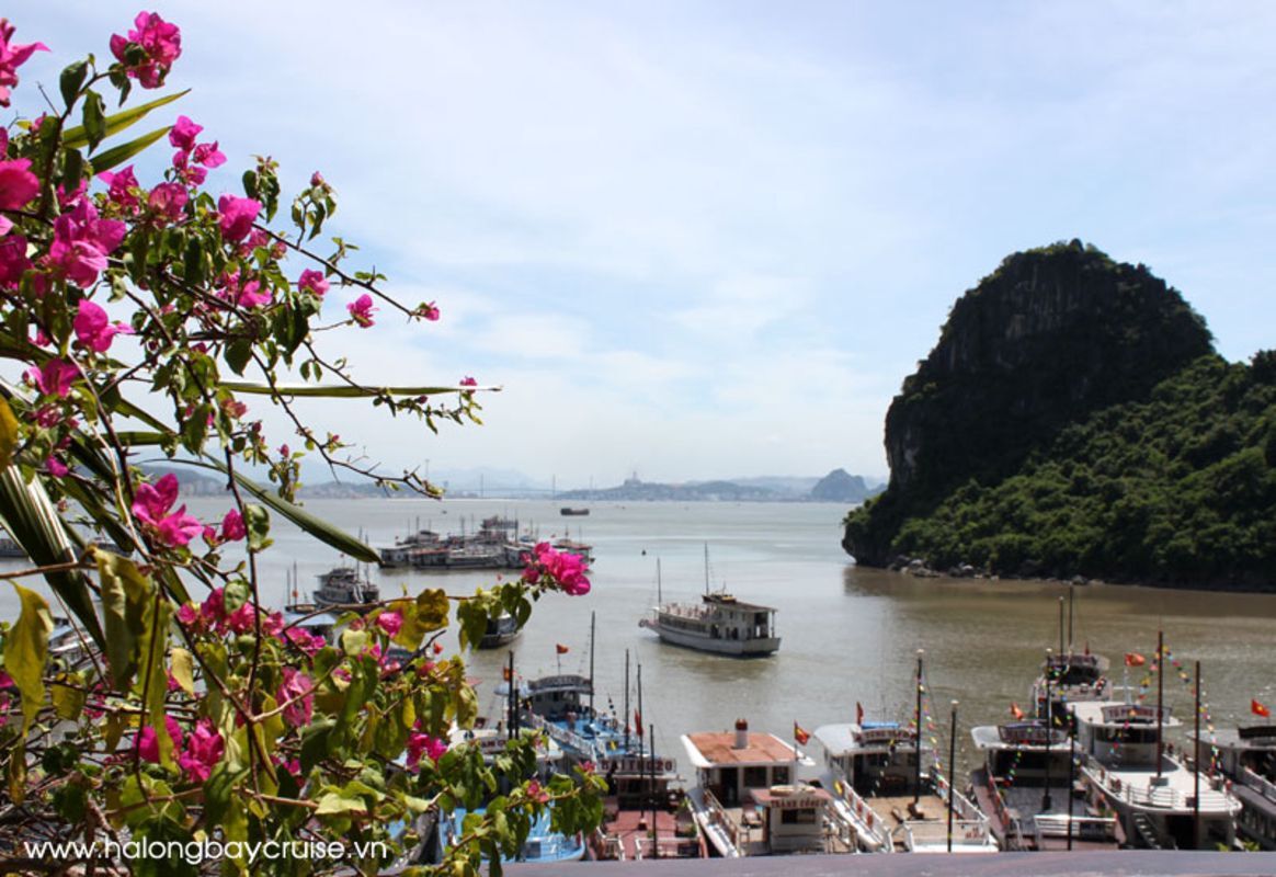 Start your Bai Tu Long Travel with tranquil vistas