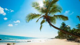 Capture the pristine beauty of Phu Quoc’s tropical gem